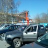 Шкодник! Фото загружай сюда!
