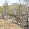 img_20150503_091247
