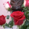 img_9175_1