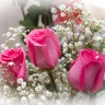 img_9173_1