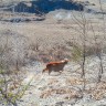 img_20150501_170209
