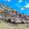 img_20150501_105932