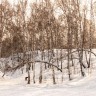 img_8927