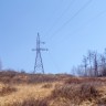 p5011783