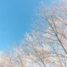 img_7118