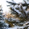 img_9046копия