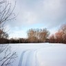 img_8735_1