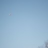 img_8753_1